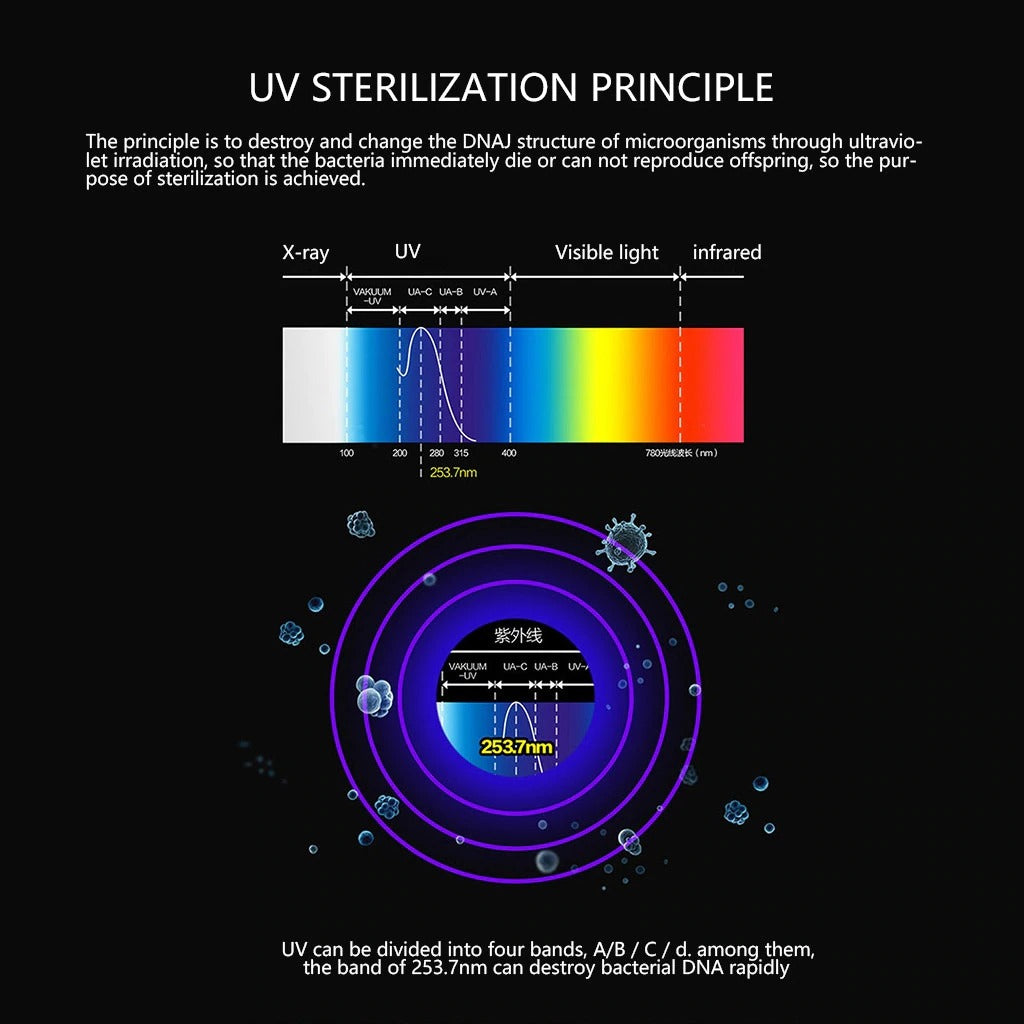 Antibacteria UV Light Disinfection Toothbrush